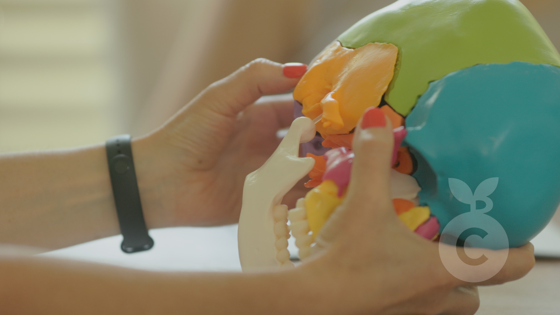 About the Instructor